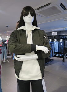 时尚之选 精选女装品牌推荐与零售趋势解析